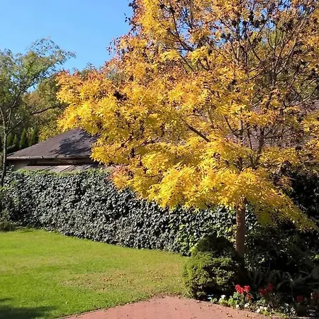 Juno Apartamento Siófok