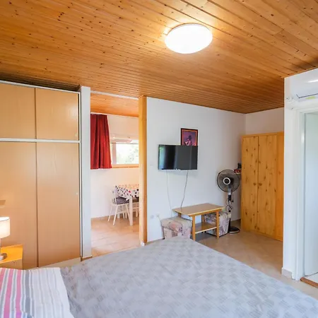 Juno シオーフォク